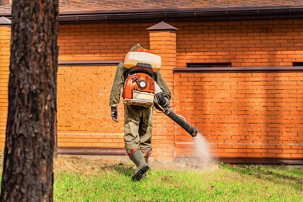 Top rated local Cockroach Control specialists in West End, NY